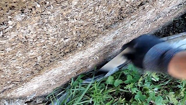 Сахара в опилках укрепляют цемент, так ли это?? Зачем так сделал?! смотреть онлайн