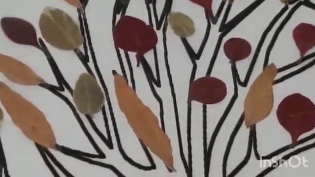 Какие гербарии делают в Европе.Herbarium 6-8 klass смотреть онлайн