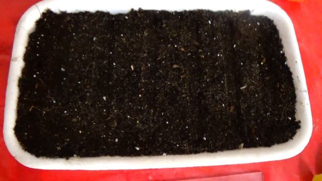 Начните свой небольшой  цветочный бизнес со мной!