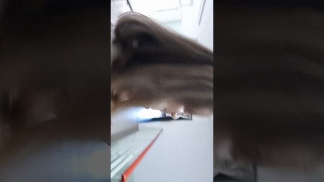 Лагерь "Чайка" Бийск сентябрь 2021 год смотреть онлайн