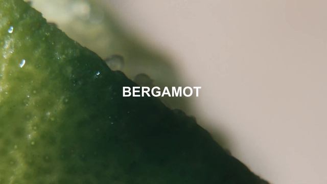 Rose Naturelle Intense - Eau De Parfum -  CHLOE