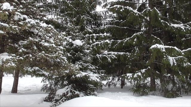 На преодоление переедания Для женщин смотреть онлайн