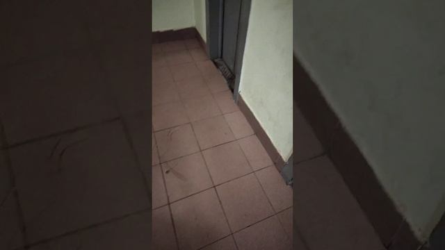 лифт в ад снимал мой оператор в конце на 22 этаж! смотреть онлайн