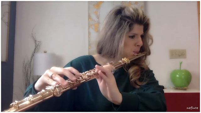 E. Köhler Flute Etudes Op. 33 Book 1 #2 смотреть онлайн