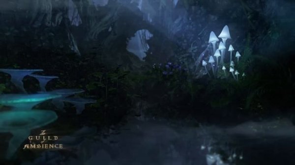 Mysterious Forest Sounds _ Fantasy Nature Ambience