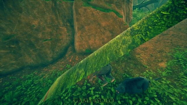 The Machairodus Crew Hunting Ape In Ancestors |132 смотреть онлайн