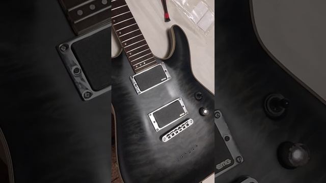 Adding Chrome parts to my Schecter C1 platinum смотреть онлайн
