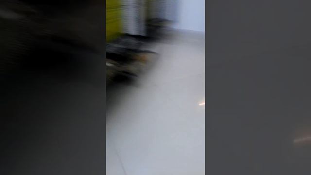 Зоопарк ТЦ Выходной смотреть онлайн