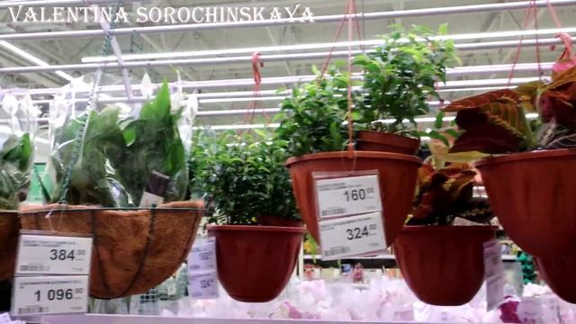 ЛЕРУА МЕРЛЕН? КЛАССНЫЕ НОВИНКИ С ЦЕНАМИ❗️ ДЛЯ ДОМА И ДАЧИ В МАГАЗИНЕ LEROY MERLIN смотреть онлайн