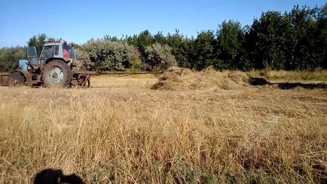 Мтз 82 грузит сено смотреть онлайн