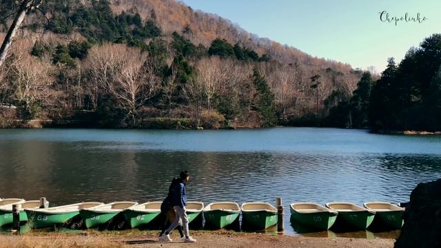 Природа Японии Заповедный парк Никко - Япония без комментариев. смотреть онлайн