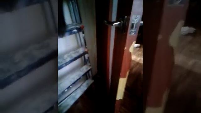 Кошка лазает по леснице смотреть онлайн