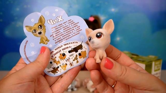 Свит Бокс Пушистики Породы собак щенки распаковка Sweet Box Dogs unboxing смотреть онлайн