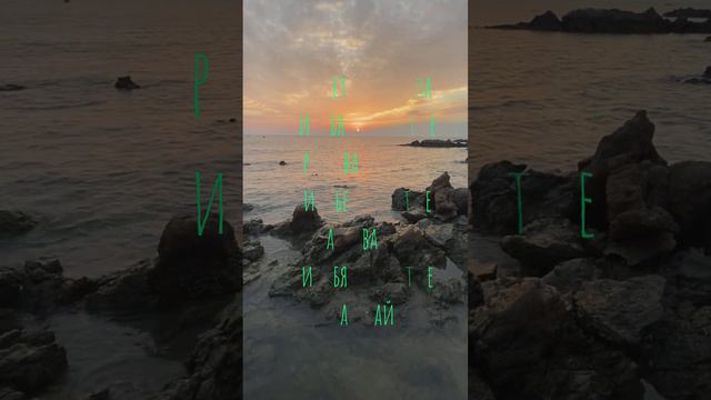 Нельзя ни о чем жалеть в этой жизни, случилось- сделали вывод и живите дальше. #мудрыеслова #цитаты