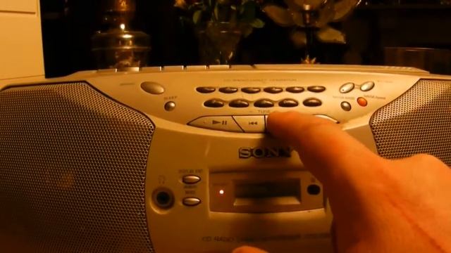 A stray Sony! смотреть онлайн