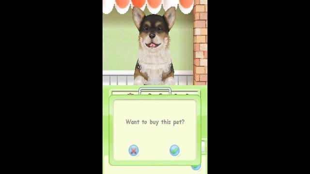 Nintendo DS Longplay - Petz Dogz Talent Show Part.1 смотреть онлайн