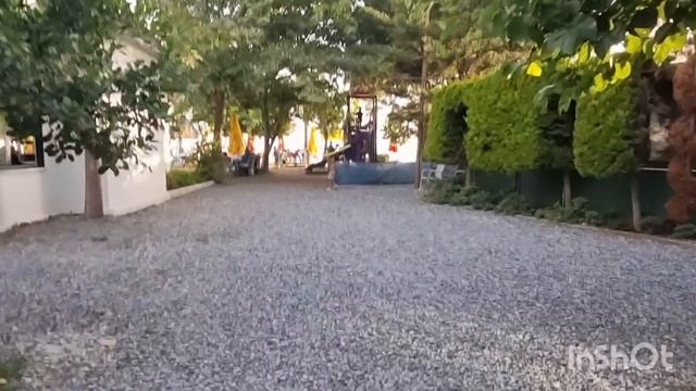 Павлины на Деревьях Ужин в Ресторане Турция ?? смотреть онлайн