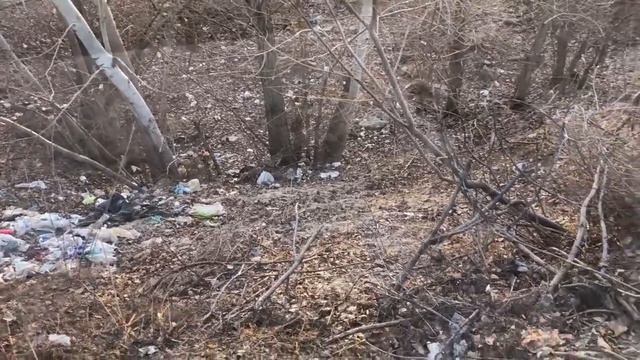 Невесёлая история зоошизы смотреть онлайн