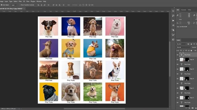 How to Create Photo Collage with Hundreds of Photos in Just Few Clicks - Adobe Photoshop Tutorial смотреть онлайн