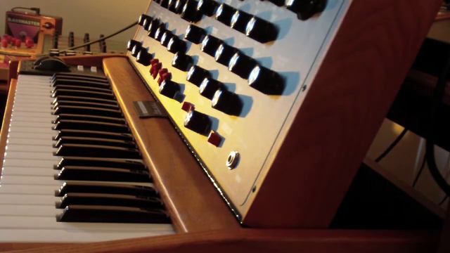 Minimoog Voyager OS + MF-104z = Resonant filter bleeps смотреть онлайн