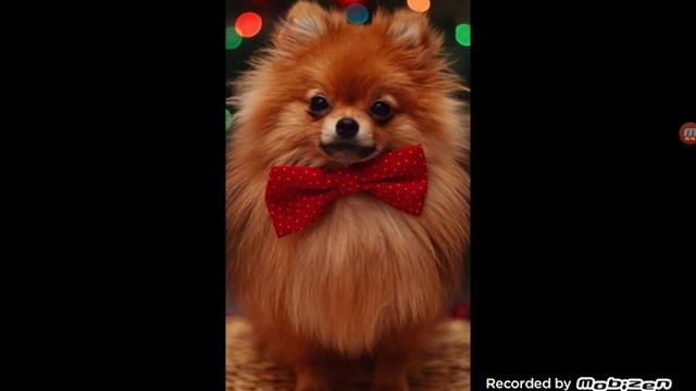 Прикольчики и картиночки в VK(больше картинок) смотреть онлайн