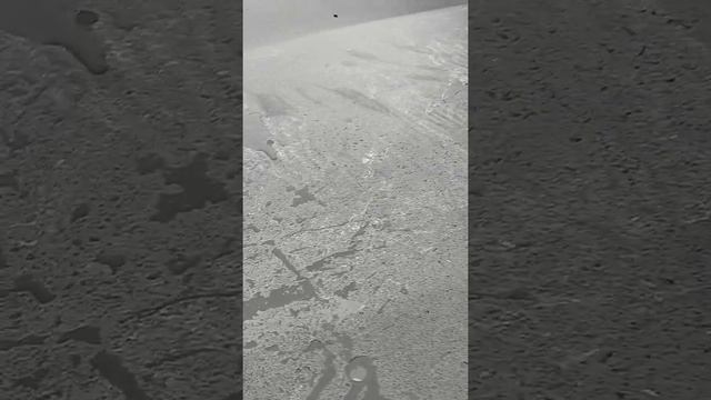 Чем закрывать бассейн покупным тентом или самодельным.? смотреть онлайн