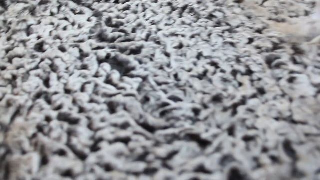 Каракуль антика