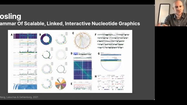 ICG Linz Lab Talk: "Grammar-Based Visualization of Genome-Mapped Data with Gosling", Nils Gehlenbor смотреть онлайн