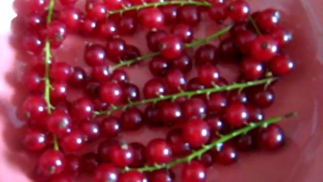 КРАСНАЯ СМОРОДИНА смотреть онлайн