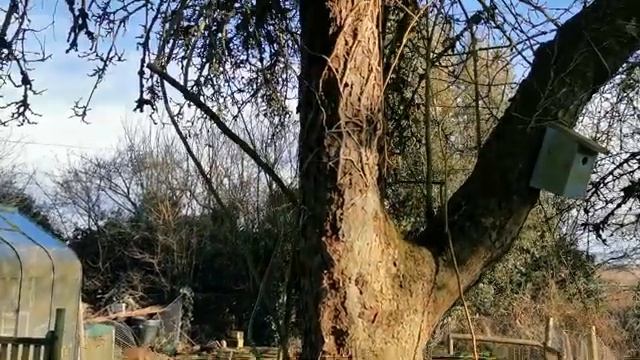 English Cottage Garden Spring Tour смотреть онлайн