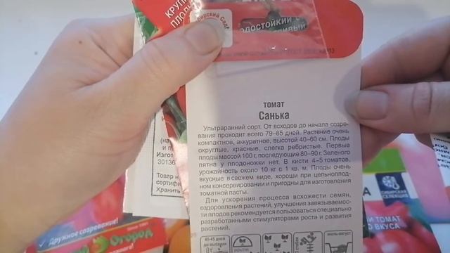 Какие СОРТА томатов посею на Тюменской земле !!! смотреть онлайн