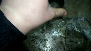 МТЗ . электропроводка, разъёмное соединение щитка приборов