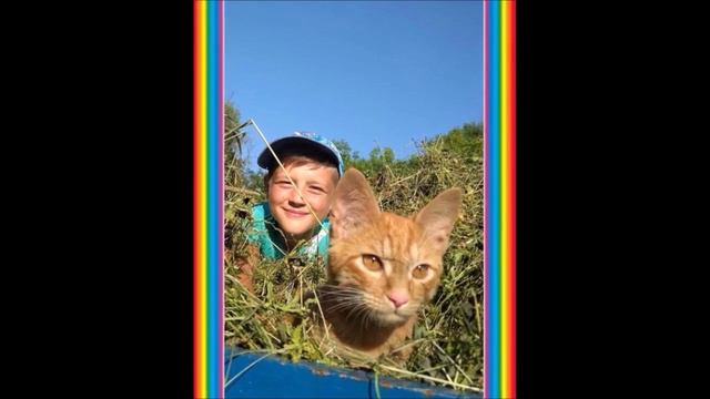 Друзья у нас лохматые, хвостатые , пернатые смотреть онлайн