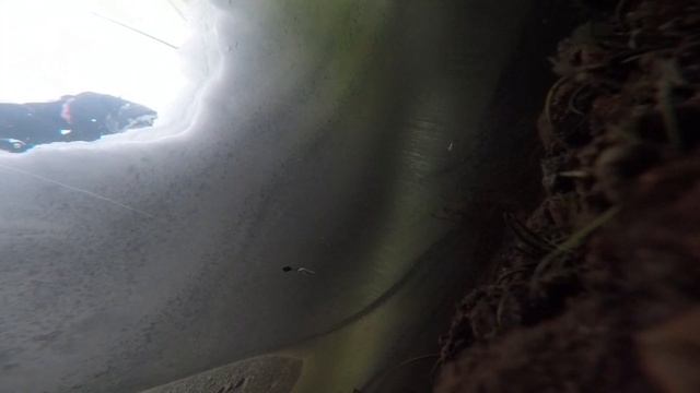 Рыбалка на Кольском полуострове. Озеро Ловозеро. Салма смотреть онлайн