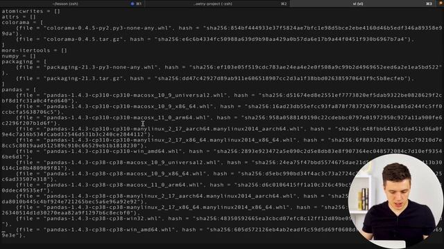 Управляй зависимостями на PYTHON как ДЖЕДАЙ смотреть онлайн