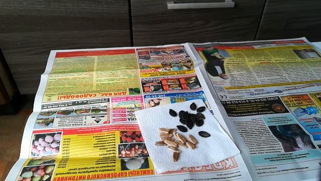 Подвои для прививки арбуза смотреть онлайн