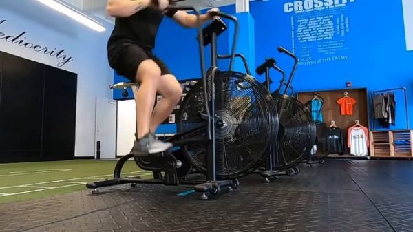 Assault Bike (Air bike)