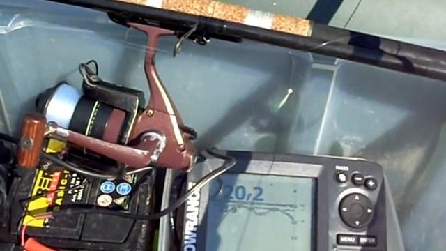 Silurus glanis-Franko смотреть онлайн