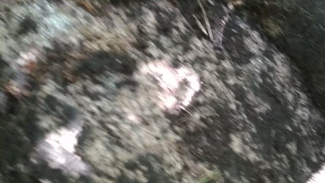 VID_20230704_104706.mp4 смотреть онлайн