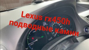 Lexus rx450h подводные камни