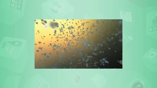 5 класс. Естествознание. Открытия будущего. 22.05.2020 смотреть онлайн