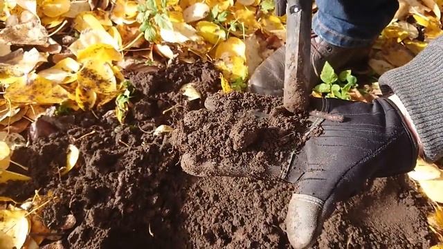 Коп на мусоре с металлоискателем АКА Беркут-5. смотреть онлайн