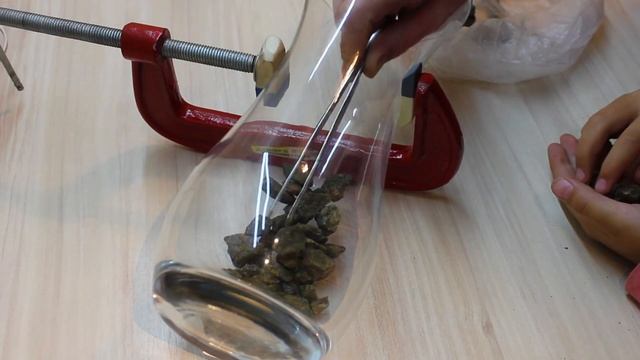 Террариум Своими Руками с Муравьями Камнями Растениями Корой Берёзы Мхом в Стеклянной Вазе ВЛОГ DIY смотреть онлайн