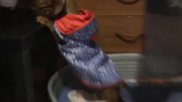 Гриша накидка Grisha cape смотреть онлайн
