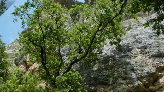 2 Победа Летом смотреть онлайн