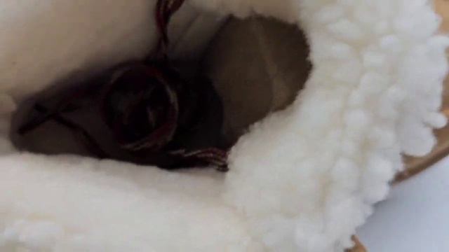 Женские угги UGG Funkarra Cabin Cuff Sand смотреть онлайн