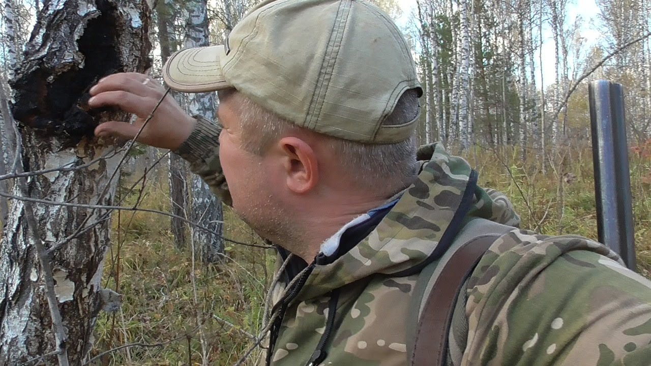 Дочистил путик.ОХОТНИЧИЙ ЗАМЫСЕЛ смотреть онлайн