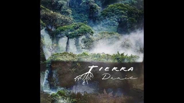 Tierra Danit