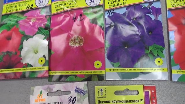 Обзор петунии Игл смотреть онлайн