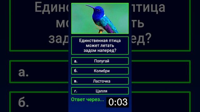 Какая птица является единственной, которая может летать задом наперед? смотреть онлайн